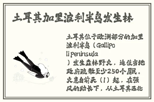 姬小满裸妆图片